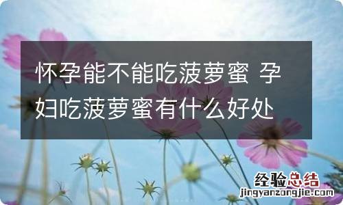 怀孕能不能吃菠萝蜜 孕妇吃菠萝蜜有什么好处