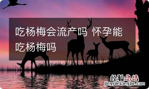 吃杨梅会流产吗 怀孕能吃杨梅吗