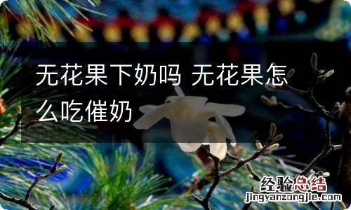 无花果下奶吗 无花果怎么吃催奶