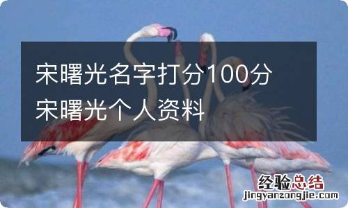 宋曙光名字打分100分 宋曙光个人资料