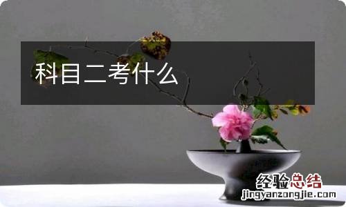 科目二考什么
