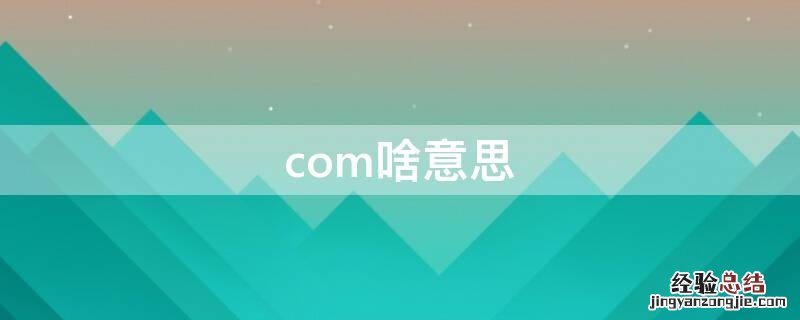 com啥意思网络啥意思 com啥意思