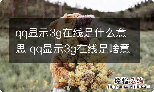 qq显示3g在线是什么意思 qq显示3g在线是啥意思