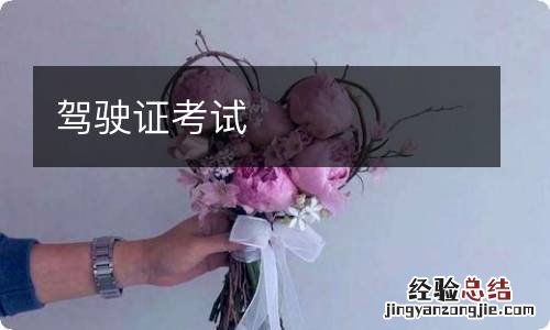 驾驶证考试