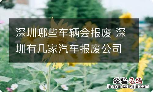 深圳哪些车辆会报废 深圳有几家汽车报废公司