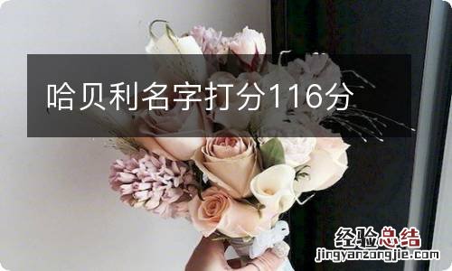 哈贝利名字打分116分