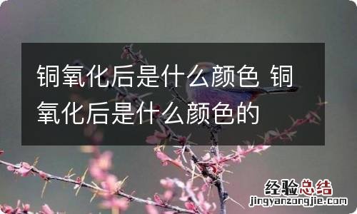 铜氧化后是什么颜色 铜氧化后是什么颜色的