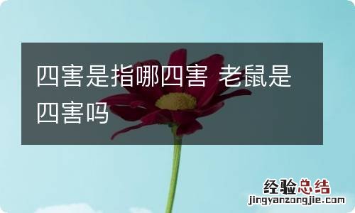 四害是指哪四害 老鼠是四害吗
