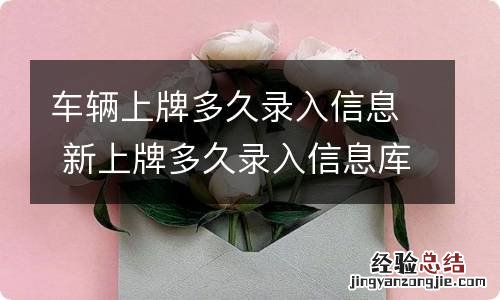 车辆上牌多久录入信息 新上牌多久录入信息库