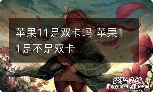 苹果11是双卡吗 苹果11是不是双卡