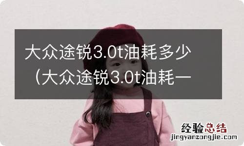 大众途锐3.0t油耗一公里多少钱 大众途锐3.0t油耗多少