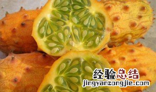 火参果产地在哪里 火参果原产哪个国家