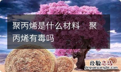 聚丙烯是什么材料聚丙烯有毒吗