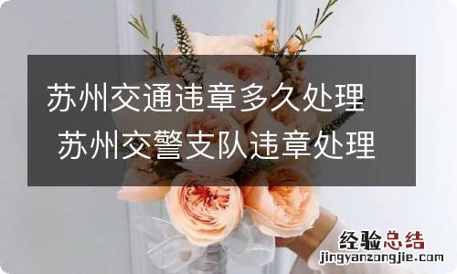 苏州交通违章多久处理 苏州交警支队违章处理时间