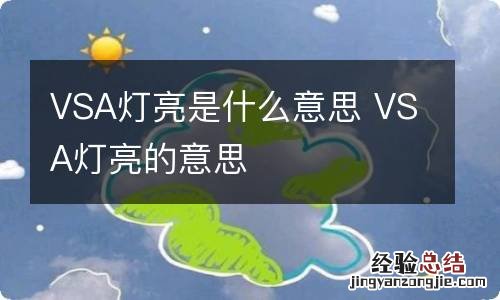 VSA灯亮是什么意思 VSA灯亮的意思