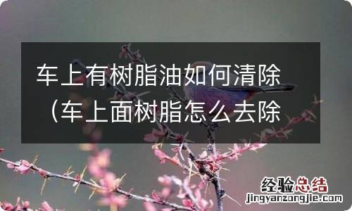 车上面树脂怎么去除 车上有树脂油如何清除