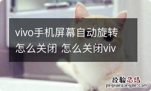 vivo手机屏幕自动旋转怎么关闭 怎么关闭vivo手机屏幕自动旋转