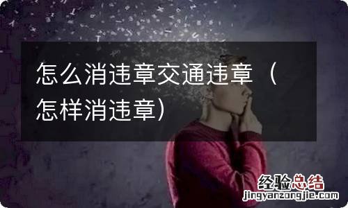 怎样消违章 怎么消违章交通违章