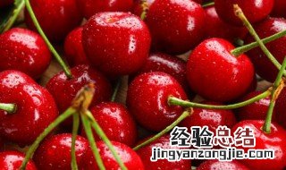 樱桃什么时候成熟季节 樱桃成熟季节是什么时候