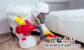怎样让蟑螂灭绝呢 怎样让蟑螂灭绝
