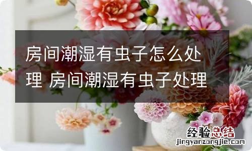 房间潮湿有虫子怎么处理 房间潮湿有虫子处理方法