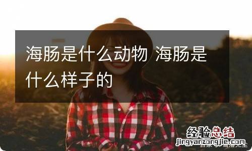 海肠是什么动物 海肠是什么样子的