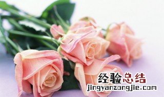 9朵玫瑰花语是什么 9朵玫瑰花语是什么寓意