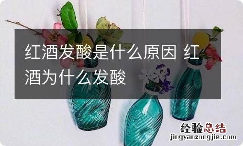 红酒发酸是什么原因 红酒为什么发酸