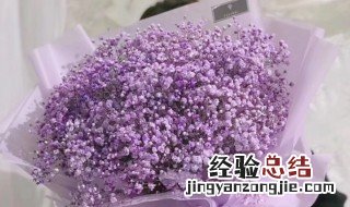 满天星的花的花语 满天星花的花语是什么