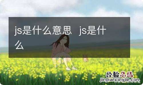 js是什么意思js是什么