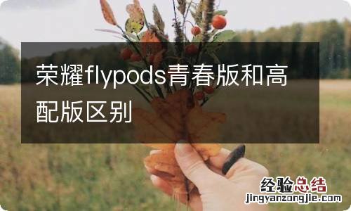 荣耀flypods青春版和高配版区别