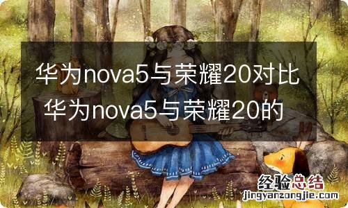 华为nova5与荣耀20对比 华为nova5与荣耀20的区别是什么