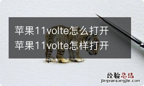 苹果11volte怎么打开 苹果11volte怎样打开