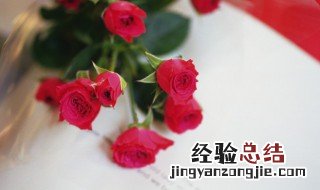 玫瑰花33朵的花语是什么 33朵玫瑰花语是什么