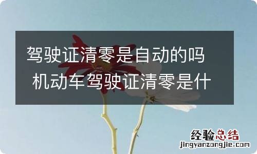 驾驶证清零是自动的吗 机动车驾驶证清零是什么意思