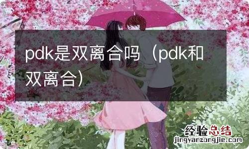 pdk和双离合 pdk是双离合吗