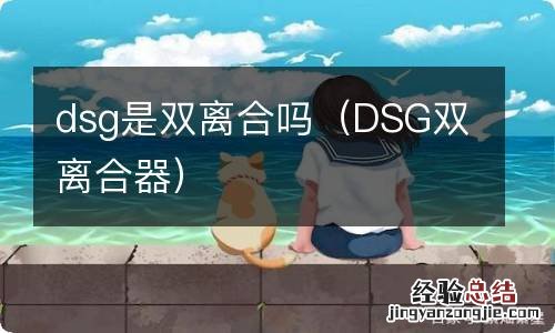 DSG双离合器 dsg是双离合吗