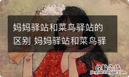 妈妈驿站和菜鸟驿站的区别 妈妈驿站和菜鸟驿站有什么不同