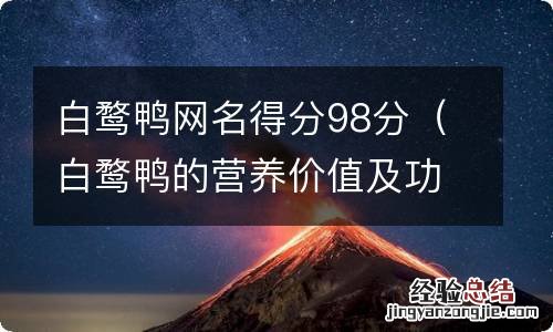 白鹜鸭的营养价值及功效 白鹜鸭网名得分98分