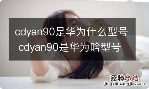 cdyan90是华为什么型号 cdyan90是华为啥型号