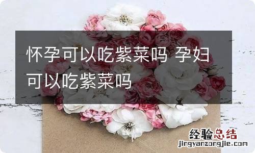 怀孕可以吃紫菜吗 孕妇可以吃紫菜吗