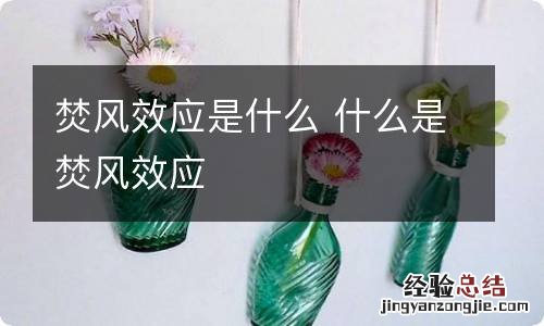 焚风效应是什么 什么是焚风效应