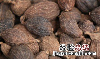 肉蔻是什么调料做的 肉蔻是什么调料