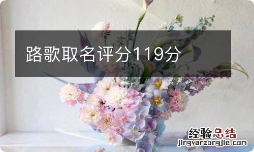 路歌取名评分119分