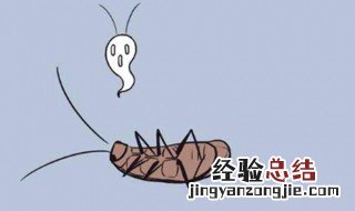 白色蟑螂卵肉眼可见吗图片 白色蟑螂卵肉眼可见吗