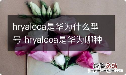 hryalooa是华为什么型号 hryalooa是华为哪种型号