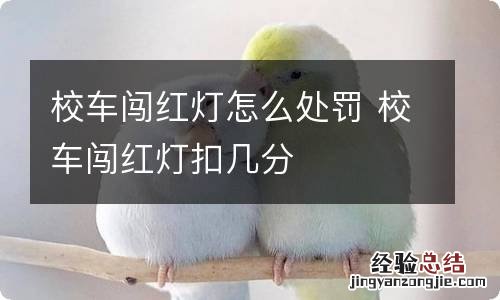 校车闯红灯怎么处罚 校车闯红灯扣几分