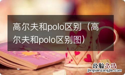 高尔夫和polo区别图 高尔夫和polo区别