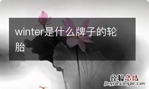 winter是什么牌子的轮胎