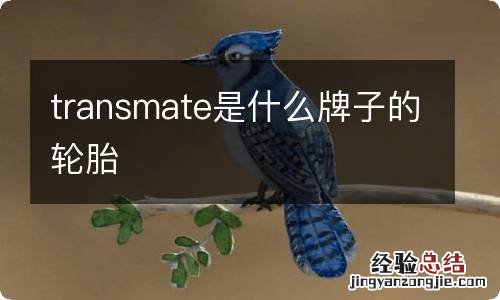 transmate是什么牌子的轮胎